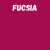 Harisnya 50 den BC fucsia 1/2