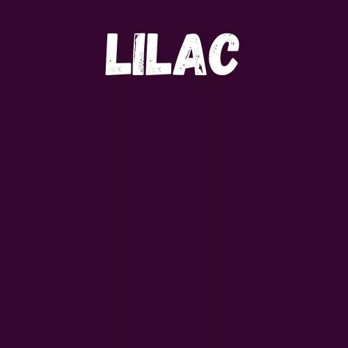 Harisnya 50 den BC lilac 1/2