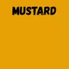 Harisnya 50 den BC mustard 1/2
