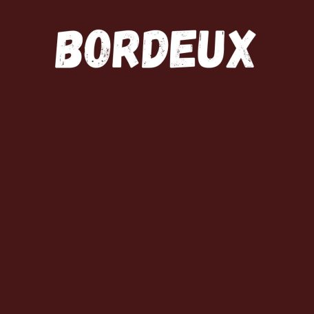 Harisnya 50 den BC bordeux 1/2