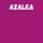 Harisnya 50 den BC azalea 3
