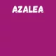 Harisnya 50 den BC azalea 3