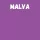 Harisnya 50 den BC malva 3