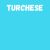 Harisnya 50 den BC turchese 3