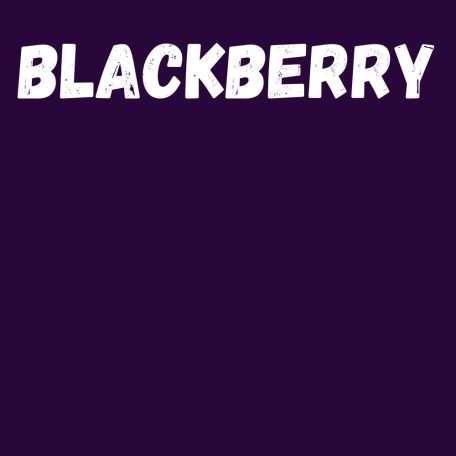 Harisnya 50 den GL blackberry 1/2
