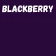 Harisnya 50 den GL blackberry 1/2