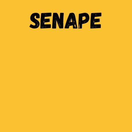 Harisnya 50 den GL senape 1/2