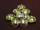 pitykegomb 13 mm arany