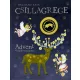 Csillagrege