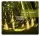 cd Dresch Quartet: Fuhun