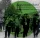 cd Szászcsávás Band: Transylvanian