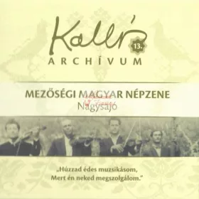 cd Kallós archívum 13. Nagysajó