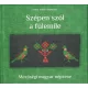 cd Kallós archívum: Szépen szól a fülemile