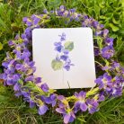 Kuncogó kártyacsomag