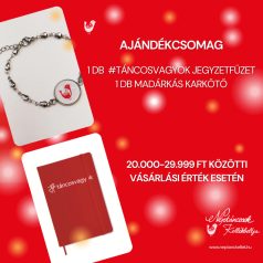 ajándékcsomag (jegyzetfüzet+madárkás karkötő)