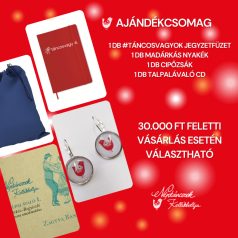 ajándékcsomag (jegyzetfüzet+fülbevaló+cipőzsák+cd)