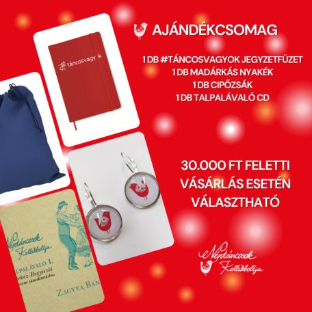 ajándékcsomag (jegyzetfüzet+fülbevaló+cipőzsák+cd)